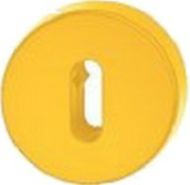  Escutcheon Key (52x9) Yellow Nylon